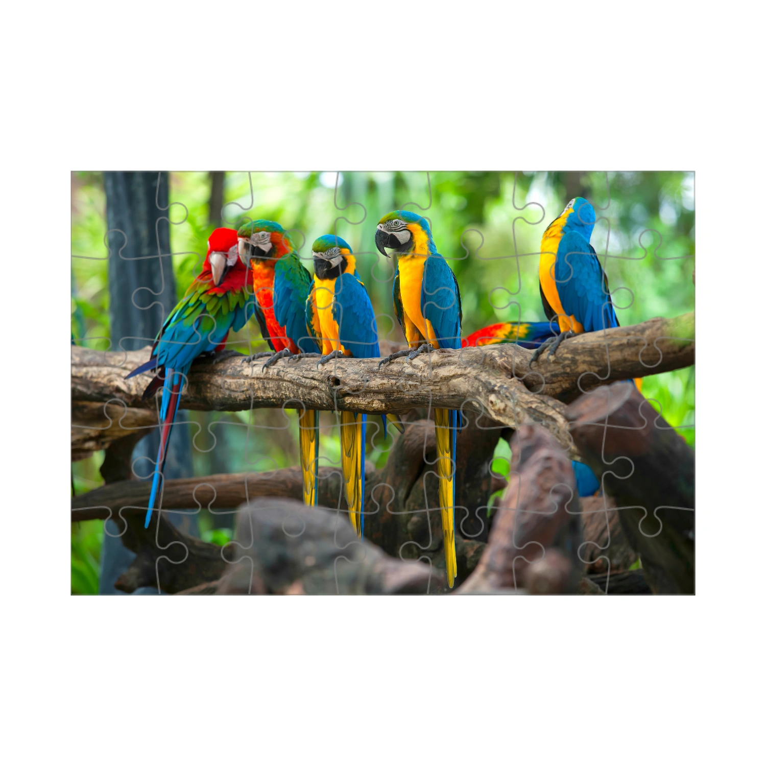 Puzzle ze zdjęcia, 24 elementy, 11x16cm - Twoje Fotopuzzle - obrazek 3